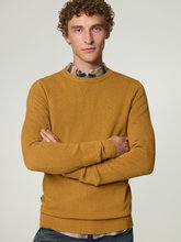 Bild von Pullover aus Baumwolle