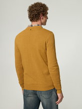 Bild von Pullover aus Baumwolle