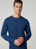 Bild von Pulli