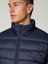Bild von Steppjacke