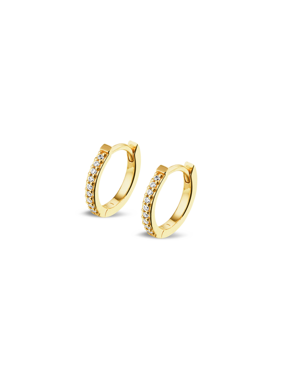 Bild von Ohrringe mit Zirkonia Steinen 1493