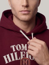 Bild von Hoodie mit Stickerei