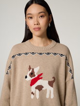 Bild von Strickpullover WKDPAVIDI
