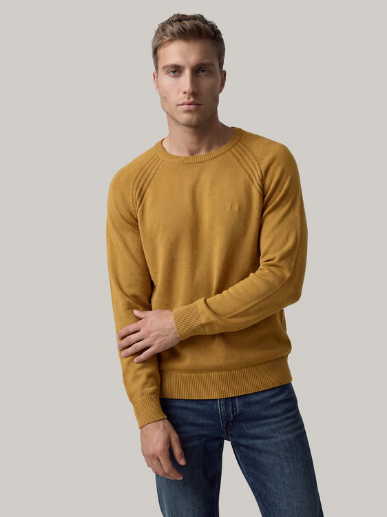 Bild von Pullover im Regular Fit