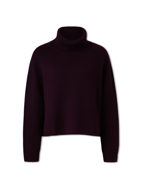 Image sur Pull à col roulé court