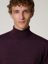 Bild von Rollkragenpullover im Slim Fit