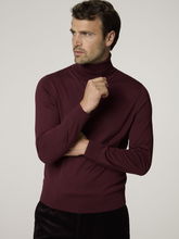 Image sur Pull à col roulé HERNANDO