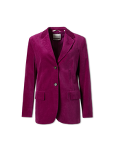 Bild von Blazer aus Samt