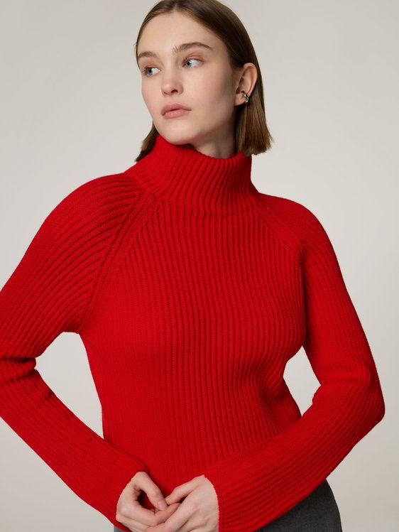 Bild von Pullover aus Wolle