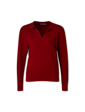 Bild von Langarmpoloshirt aus Strick