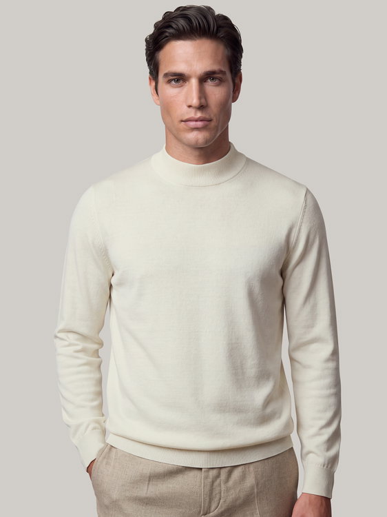 Image sur Pull à col montant