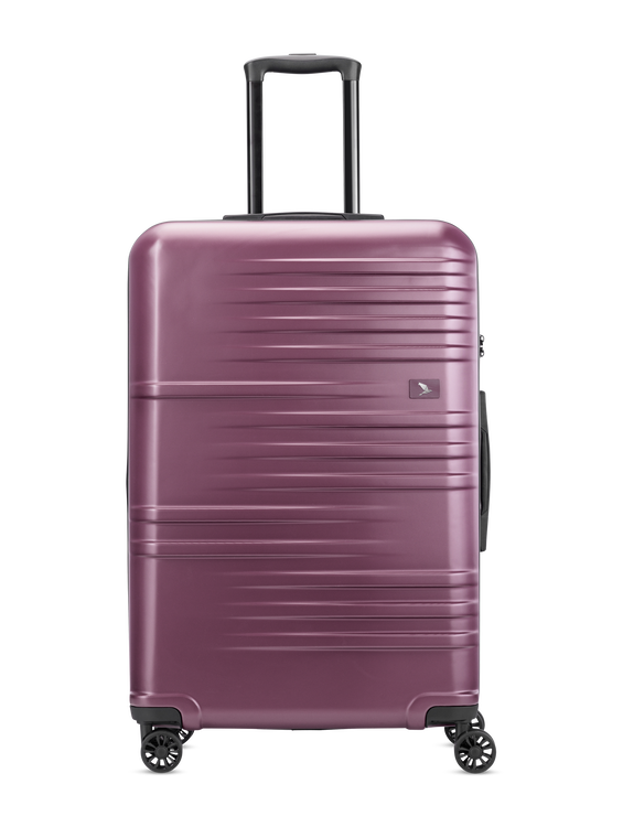 Image sur Valises TROLLEY L