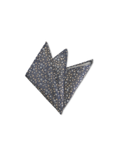 Bild von Fliege & Pochette Set