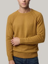 Bild von Pullover im Regular Fit