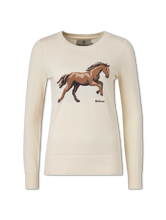 Bild von Strickpullover aus Baumwolle