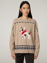 Bild von Strickpullover WKDPAVIDI