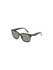 Bild von SUNGLASSES