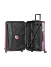 Image sur Valises TROLLEY L