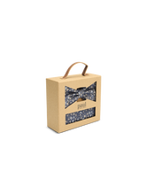 Bild von Fliege & Pochette Set