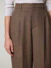 Bild von Bundfaltenhose aus Flanell NOA