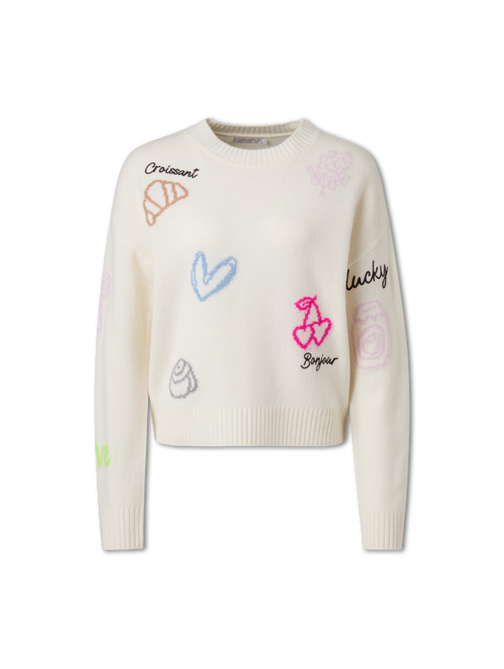 Image sur Pull avec broderies