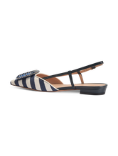 Bild von Slingballerinas SPRIPE