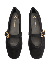 Bild von Ballerinas aus Veloursleder