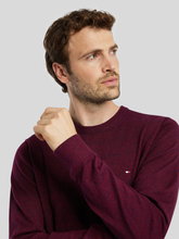 Image sur Pull coton Pima