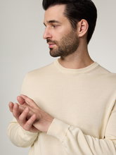 Bild von Pullover aus Baumwolle