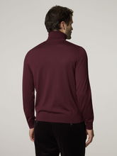 Image sur Pull à col roulé HERNANDO