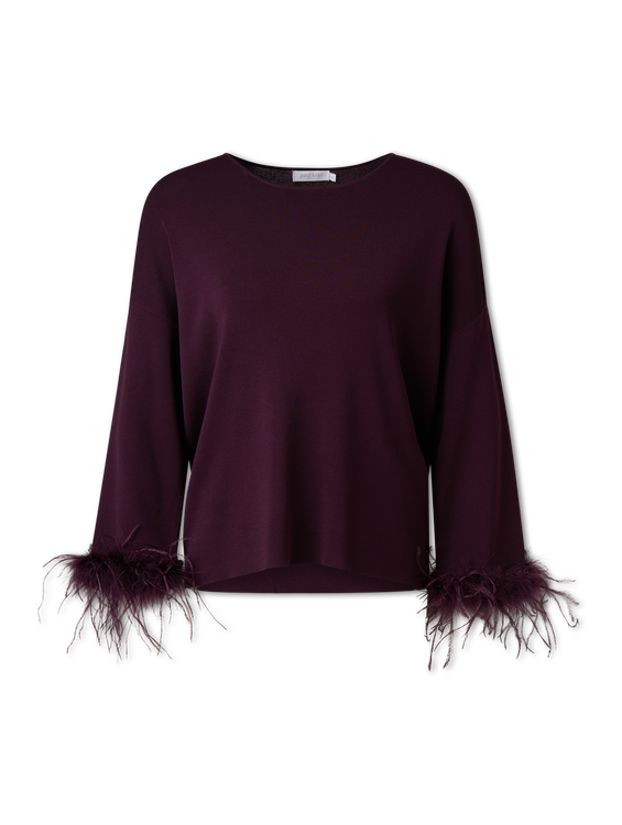 Bild von Pullover mit Federn