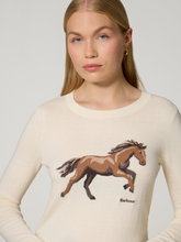 Image sur Pull en coton tricoté
