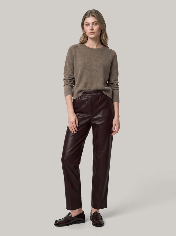 Bild von Fakelederhose