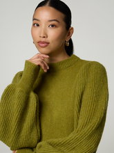 Bild von Pullover mit Alpaka