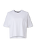 Bild von Shirt