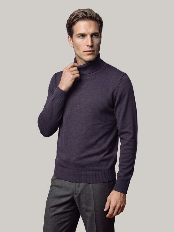 Image sur Pull à col roulé