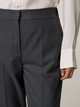 Bild von Hose im Slim Fit IBLZODIACO