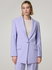 Image de Boyfriend Blazer