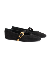 Bild von Ballerinas aus Veloursleder