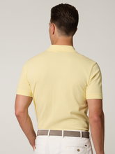 Image sur Polo en coton PALLAS