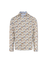 Image sur Chemise coupe moderne HAROLD P