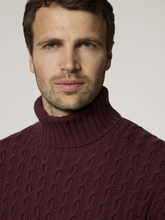 Image sur Pull à col roulé HERRERO