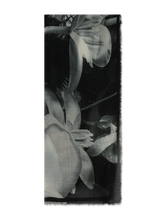 Image sur Écharpe en laine SIVA WOO