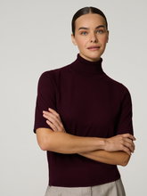 Bild von Rollkragenpullover CIBRUNO