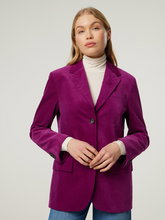 Bild von Blazer aus Samt