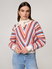 Bild von Multicolorbaumwollepullover