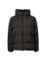 Bild von JACKE