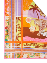 Bild von Dreieckstuch aus Seide