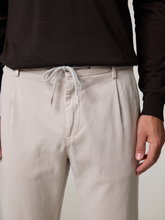 Bild von Chino mit Baumwolle