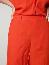 Bild von Bermudas BAI ALEXIS